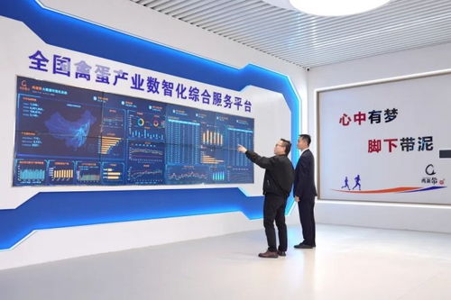 蛋生数智梦，科技孵未来 金融赋能农业科技蝶变
